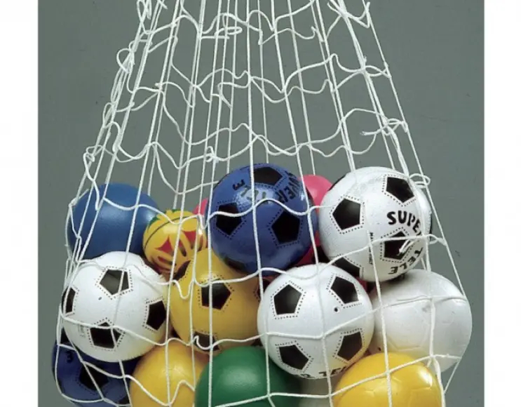 Large ball-carrier net